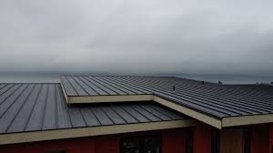 Professional Roofing servicies in Taft Southwest, TX